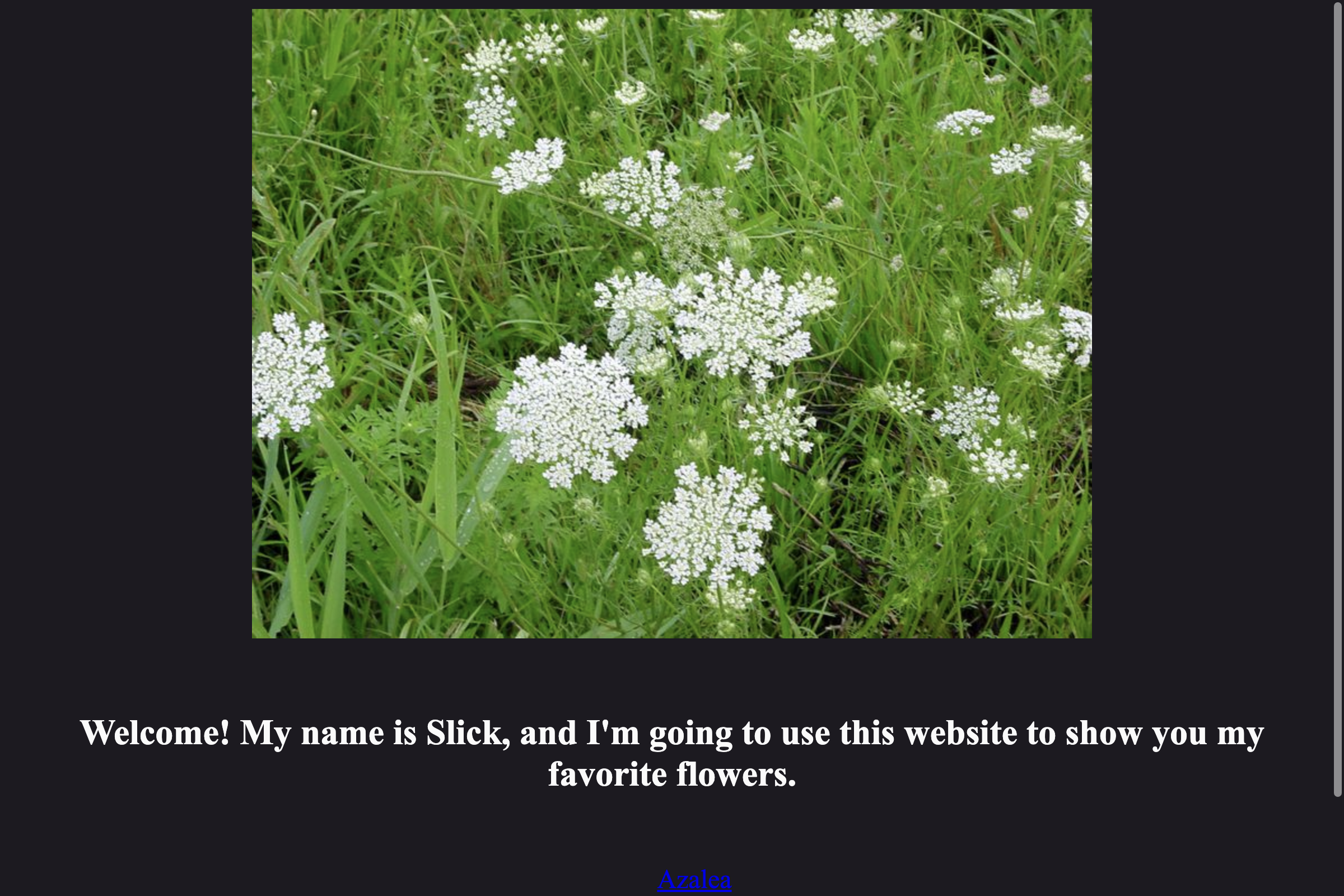 A placeholder image of a desert